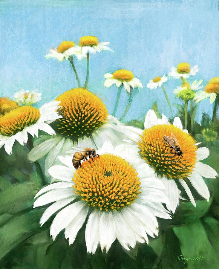 Echinacea with bees Digital Art by Simon Sturge