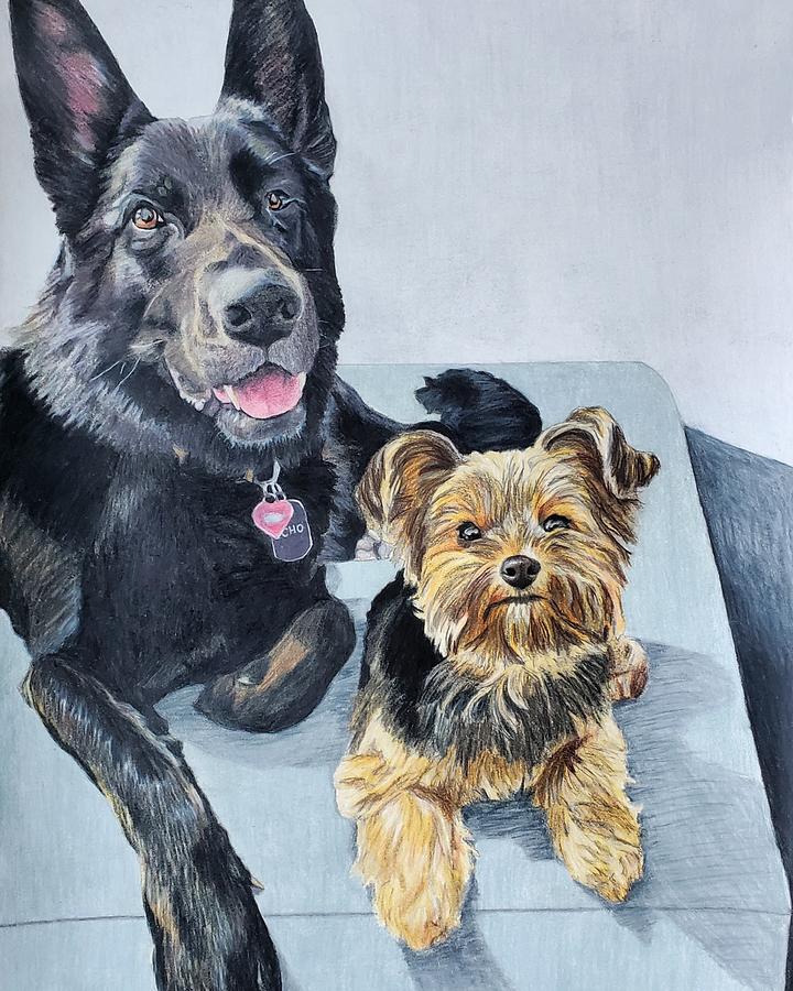 Echo and Mishka Drawing by Jean Haynes