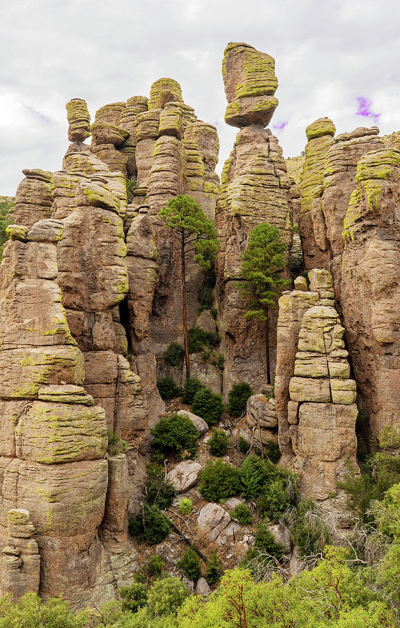 Echo Canyon Arizona Hoodoos Photograph by Matthew Jolley - Fine Art America