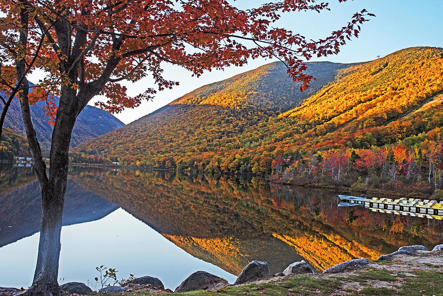 Echo Lake Beautiful Fall Colors Franconia NH White Mountains Orange Tree Photograph by Toby McGuire