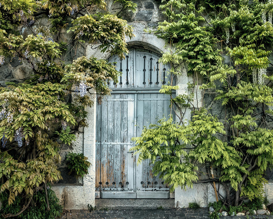 Echoes of Time - The Wisteria Framed Door Photograph by Benoit Bruchez