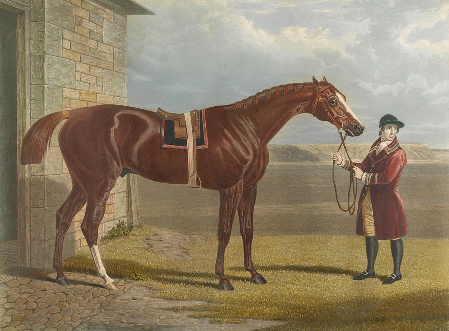 Eclipse - He was bred in 1764 Relief by Charles Hunt