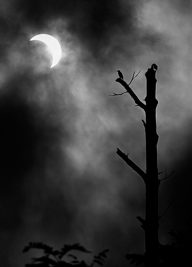 Eclipse Photograph
