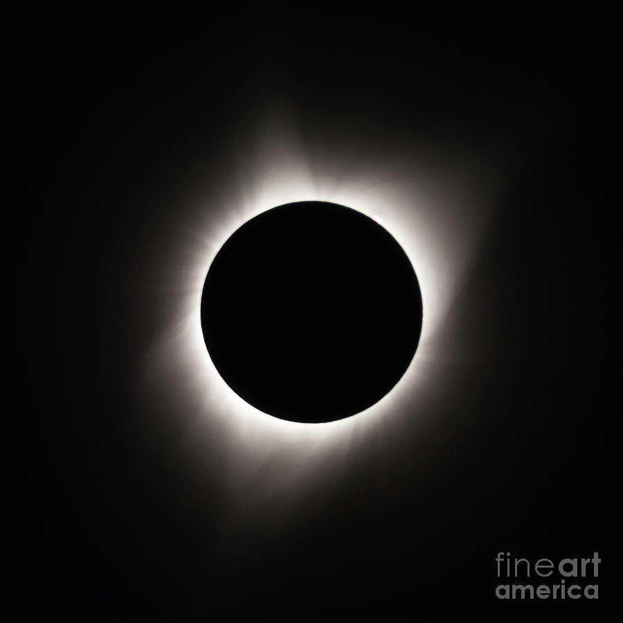 Eclipse Photograph - Eclipse Totality through a Solar Filter by Nancy Gleason