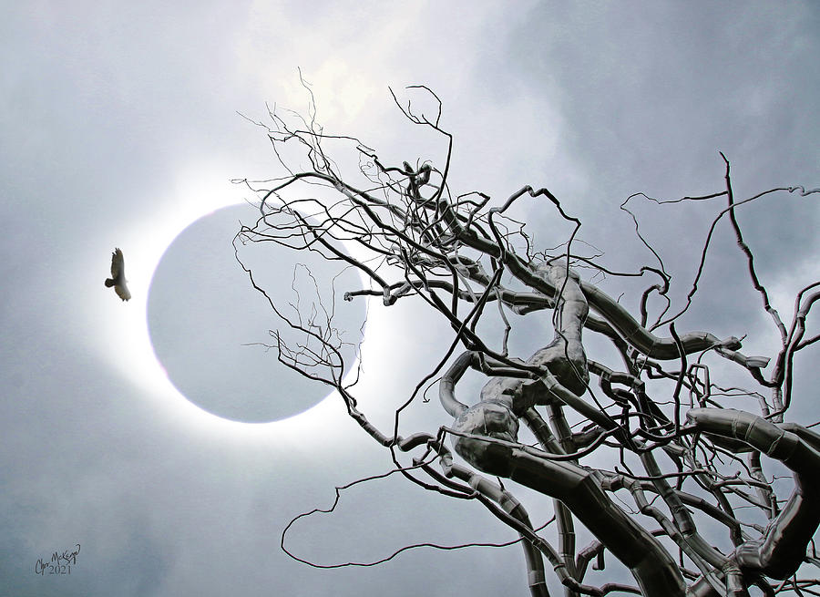 Eclipse Tree Photograph by Christopher McKenzie