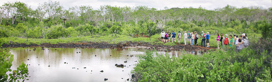 Eco Tourists on Santa Cruz Island in the Galapagos Photograph by Powerofforever