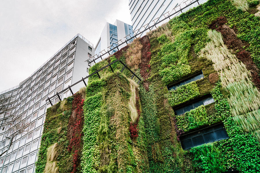 Ecologic building Architecture in São Paulo, Brazil Photograph by Nikada