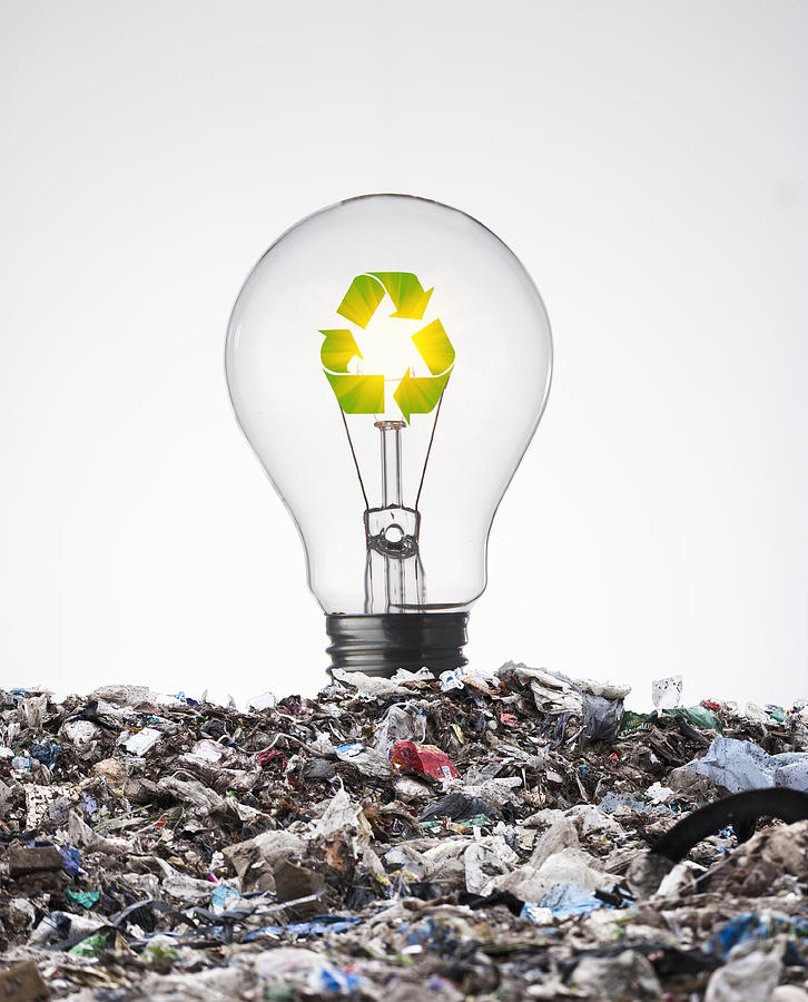 Ecologic Bulb Photograph by Buena Vista Images Ecologic Bulb Photograph by Buena Vista Images