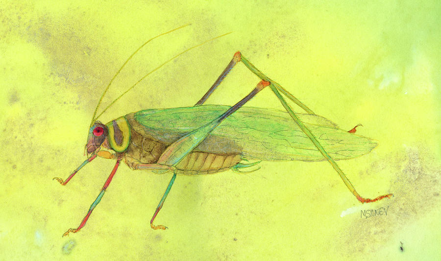 Cricket Painting - Ecuador Amazon Katydid by Marie Stone-van Vuuren
