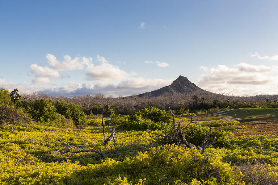 Ecuador, Galapagos Islands, Santa Cruz, view to volcano Photograph by Westend61