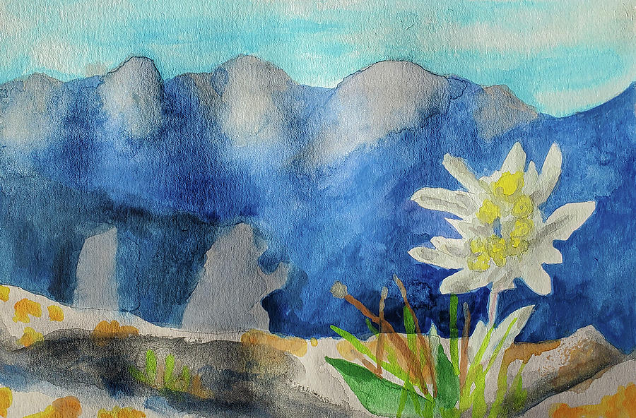 Edelweiss Painting by Jean Haynes