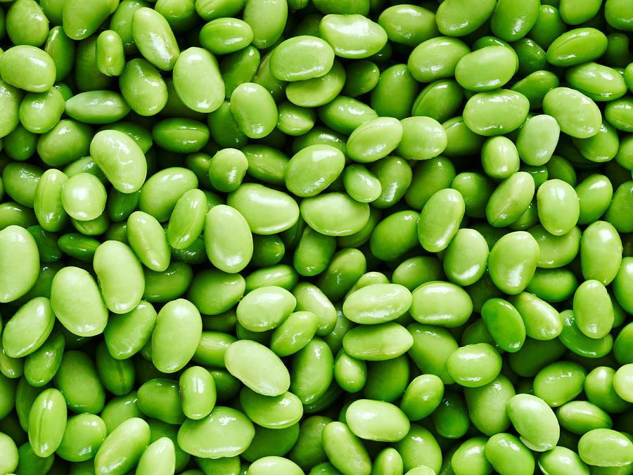 Edemame Beans Photograph by Lauren Burke