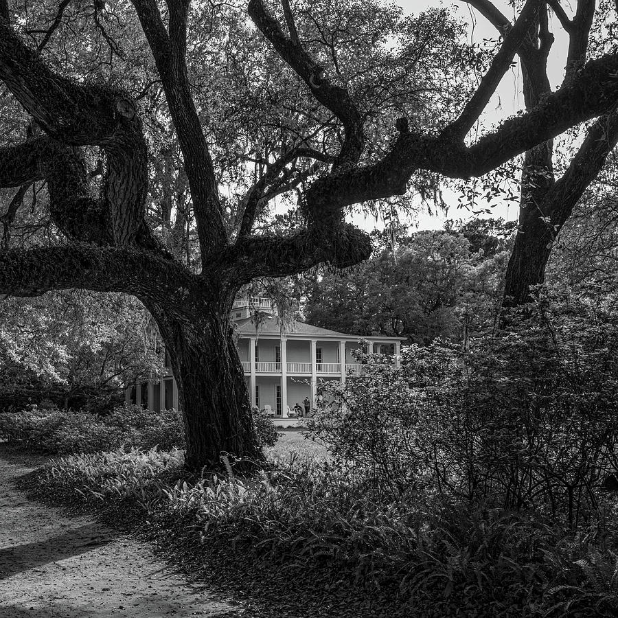 Eden Gardens Photograph By Joseph Smith - Fine Art America