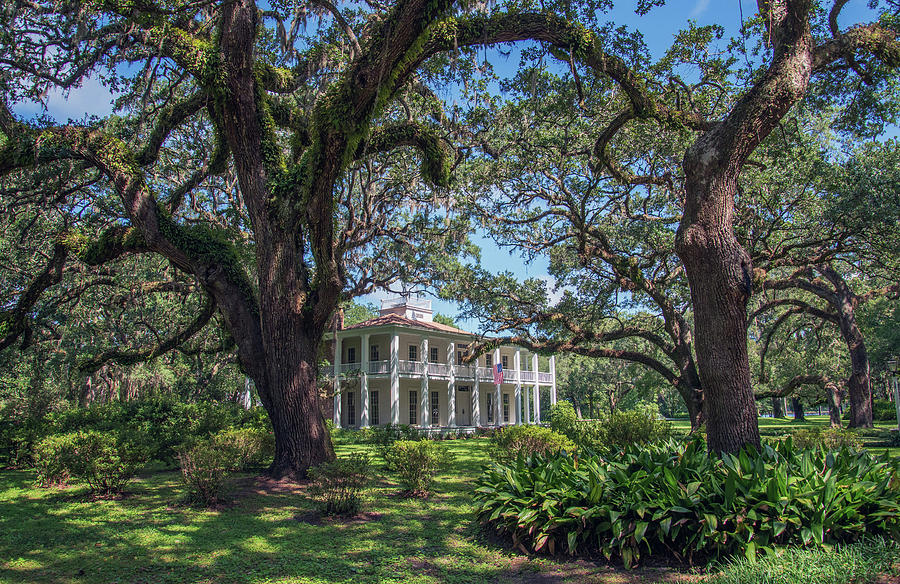 Eden Gardens State Park Photograph by Joe Tabb