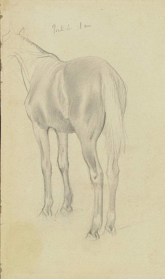 Edgar Degas 1834 1917 Horse Study Recto Painting By Artistic Rifki 