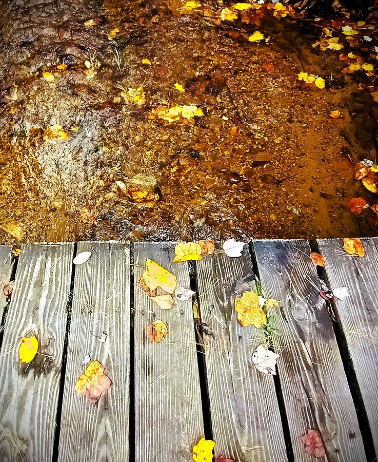Fall Photograph - Edge of the Dock by Angela Davies