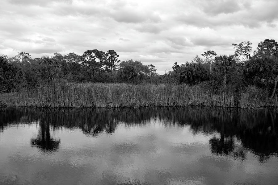 Edge of the Pond Photograph by Robert Wilder Jr