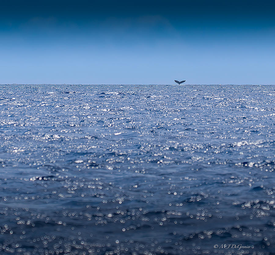 Edge of the World Photograph by Michael DeGrenier Edge of the World Photograph by Michael DeGrenier