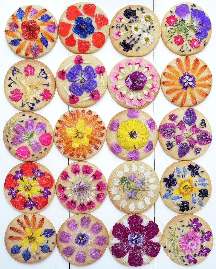 Edible Flower Shortbread Biscuits Pattern Photograph by Tim Gainey