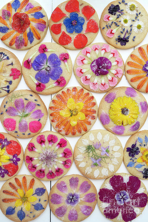 Cookie Photograph - Edible Flower Shortbread Cookies Pattern by Tim Gainey