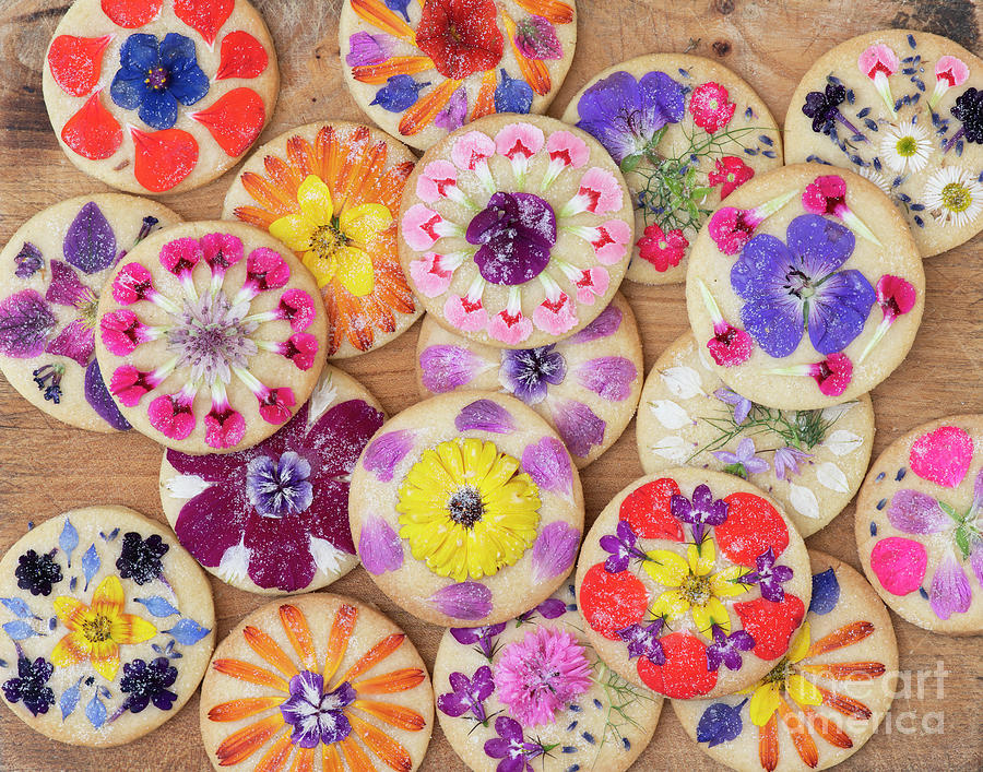 Edible Flower Shortbread Cookies Photograph by Tim Gainey