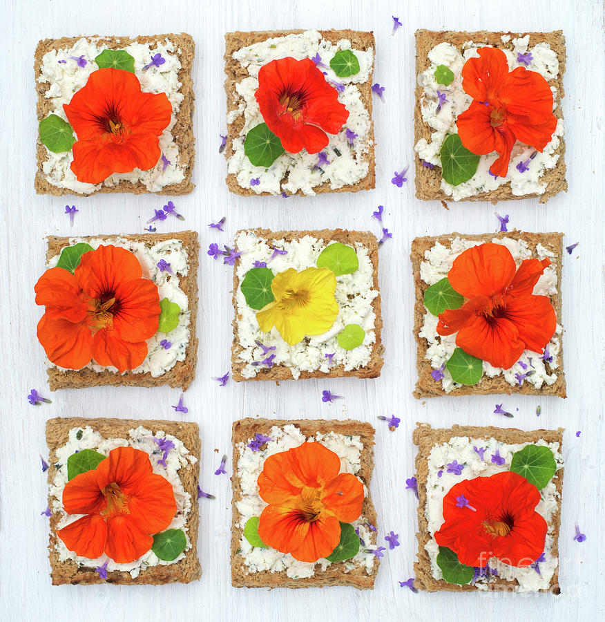 Edible flowers Photograph by Tim Gainey