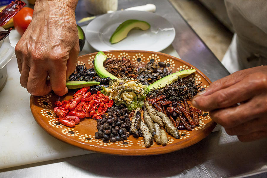 Edible insects prepared by a Mexican chef Photograph by ©fitopardo