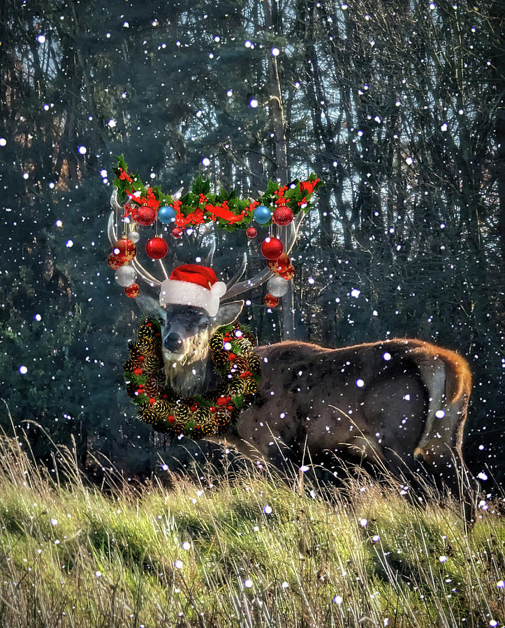 Edit 78b - Its Christmas Deer Digital Art by Brian Wallace