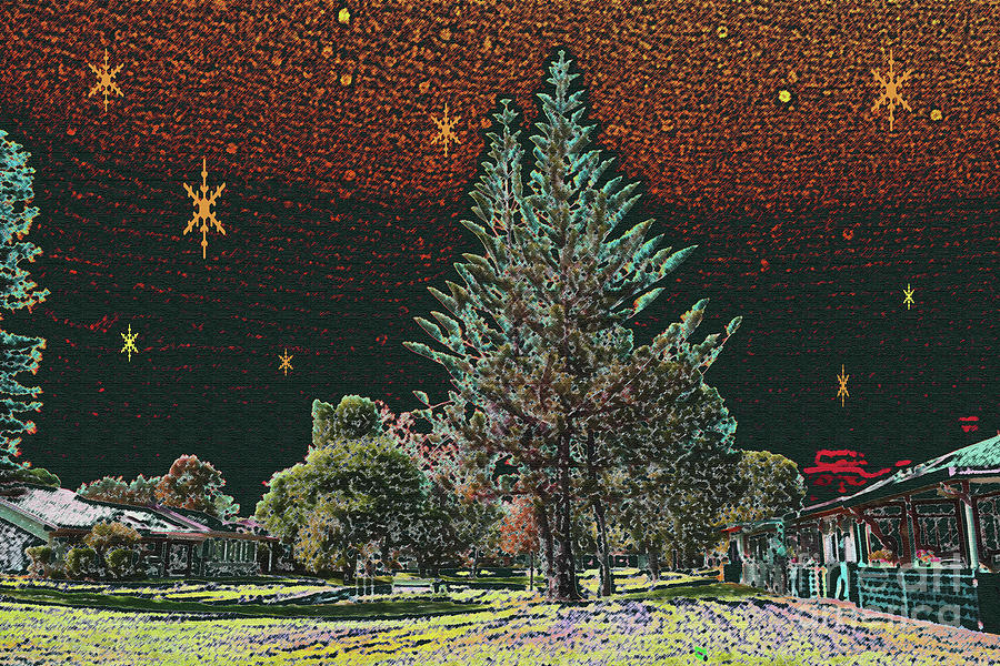 Edit This 57 Blue Spruce in Northern Lights Photograph by Nina Silver