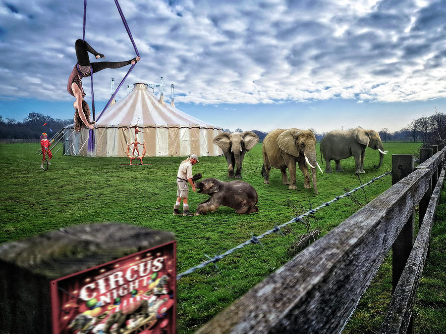 Edit This 71a - Circus In Town Digital Art by Brian Wallace