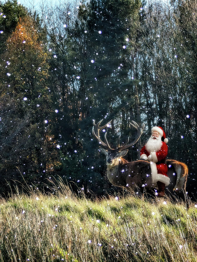 Edit This 78c - Deer Santa Photograph by Brian Wallace