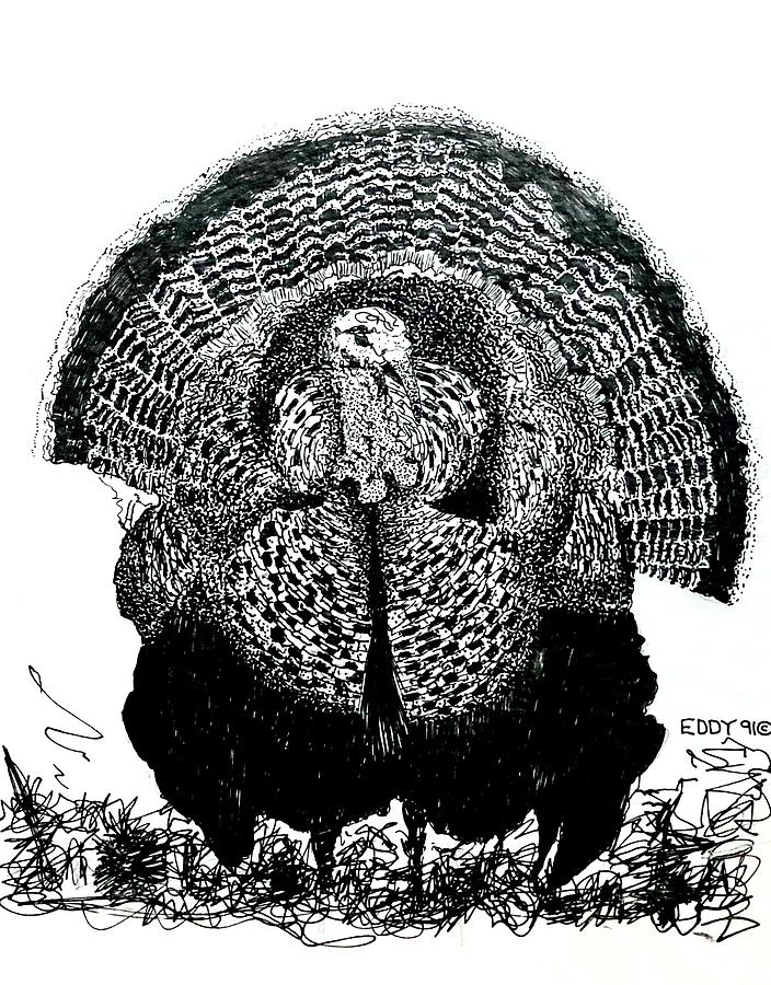 Edited Wild Turkey Drawing by Philip Eddy