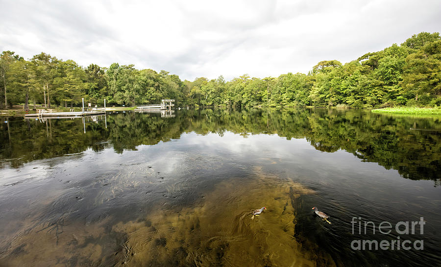 Crawfordville Photograph - Edward Ball Wakulla Springs State Park, Crawfordville, Florida by Felix Lai Crawfordville Photograph - Edward Ball Wakulla Springs State Park, Crawfordville, Florida by Felix Lai