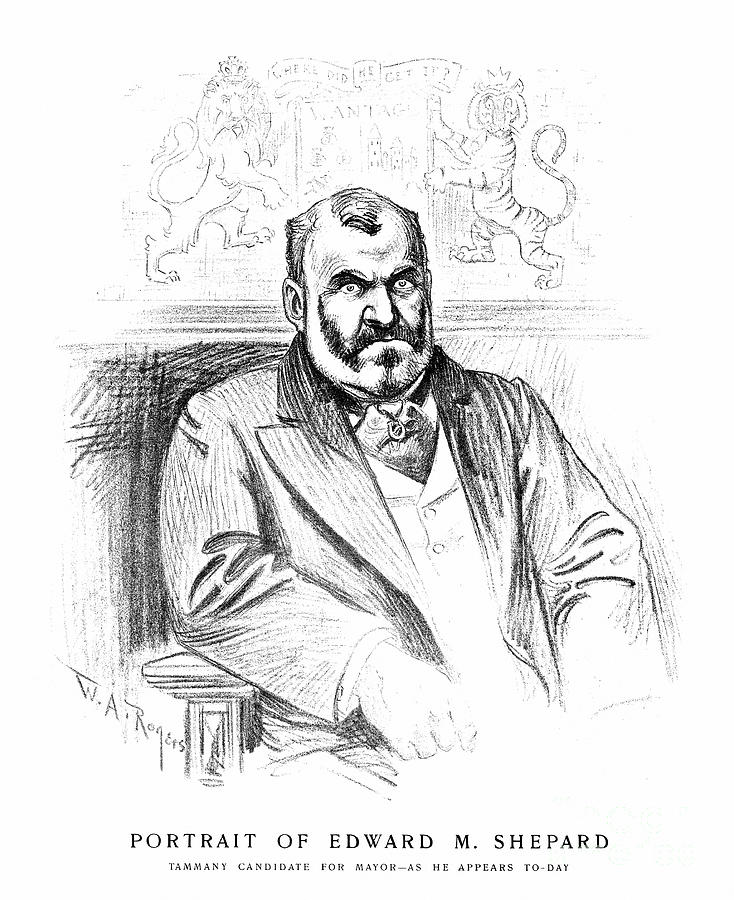 Edward Morse Shepard Drawing by William Allen Rogers