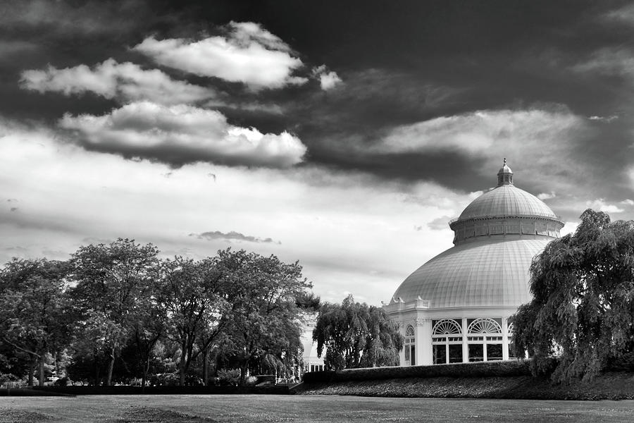 The Conservatory View Photograph by Jessica Jenney