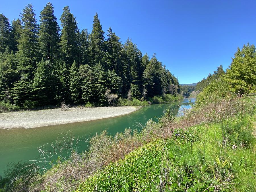 Eel River  Photograph by Daniele Smith
