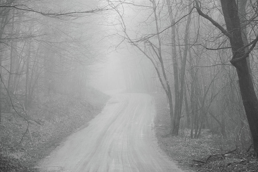 Black And White Photograph - Eerie And Mysterious by Karol Livote