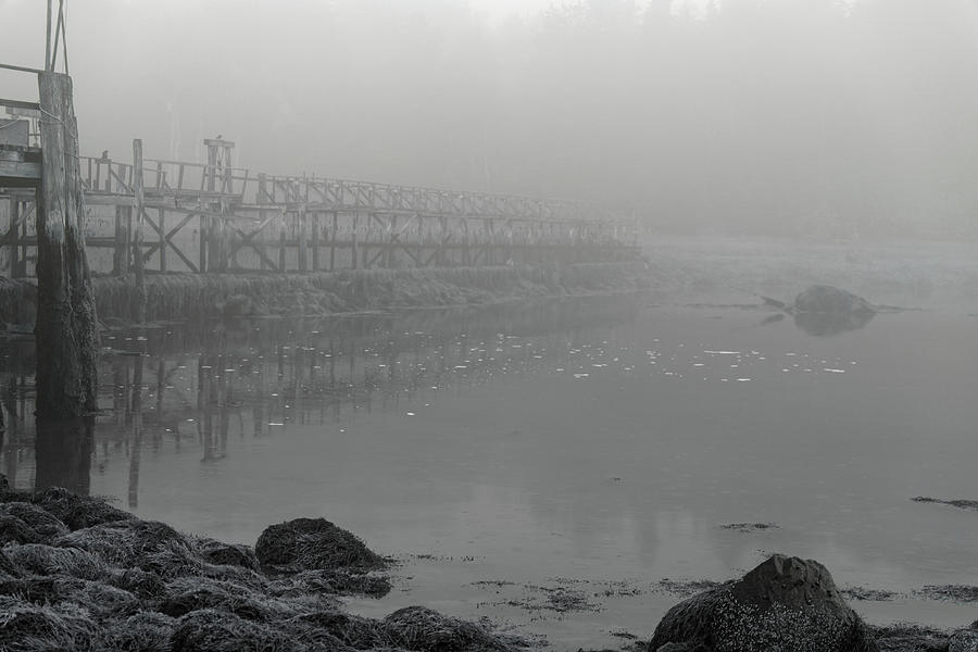 Eerie Bridge Maine Coast Photograph by Doolittle Photography and Art
