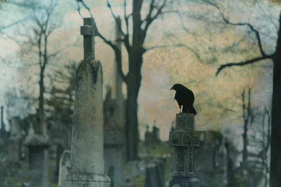 Eerie Crow In Cemetery Photograph by Gothicrow Images - Fine Art America