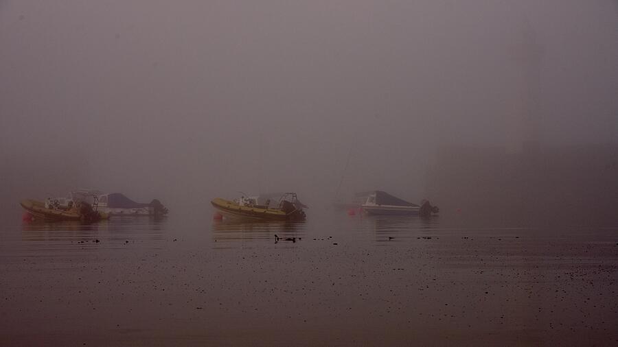 Donaghadee Eerie Harbour Fog Photograph