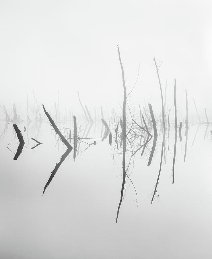 Eerily Calm In Black And White Photograph by Jordan Hill