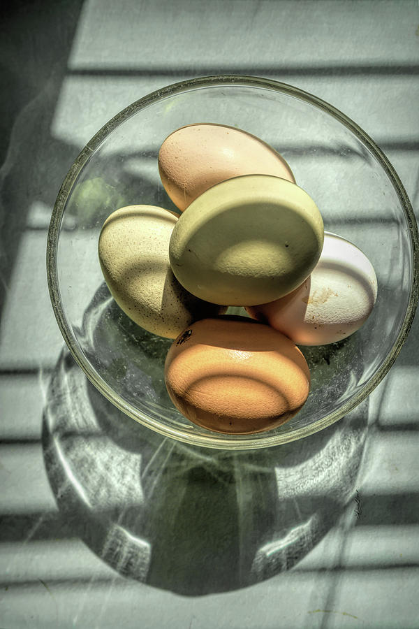Egg Bowl Photograph by Sharon Popek