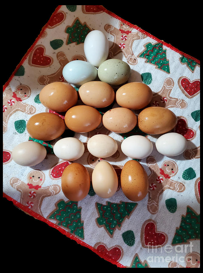 Egg Christmas Tree  Photograph by Donna Brown