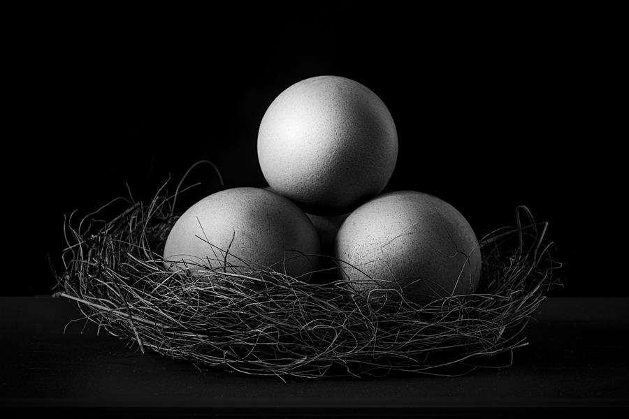 Egg nest in black and white Photograph by Alessandra RC