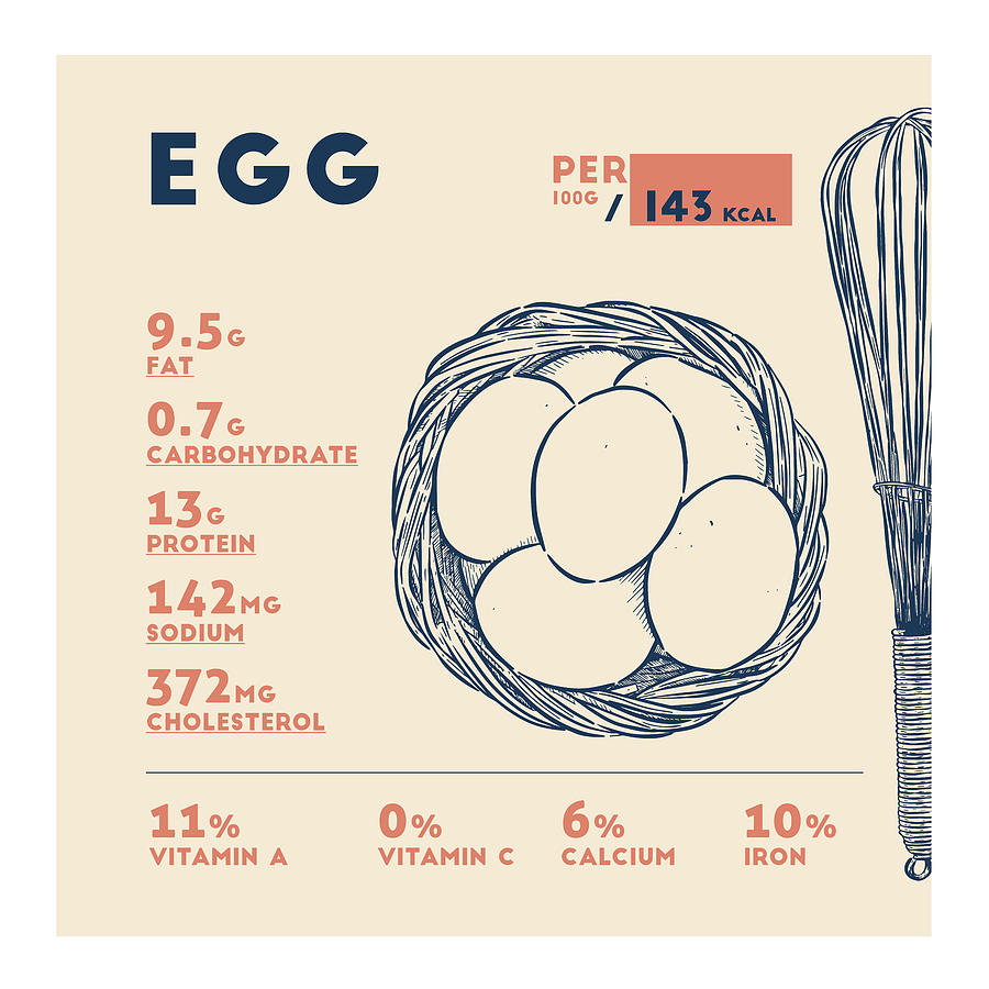 Egg Nutrition Facts by Beautify My Walls