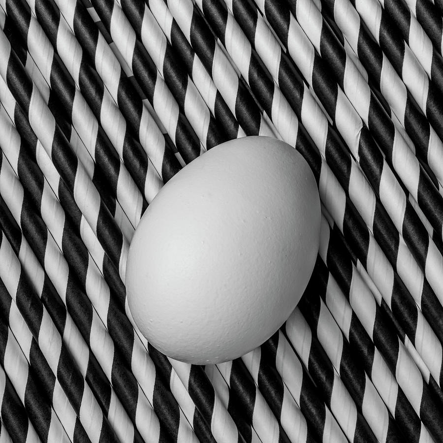 Egg Photograph - Egg On Drinking Straws by Garry Gay