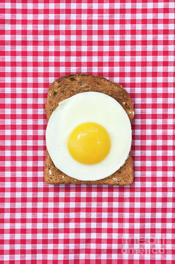 Egg on Toast Photograph by Tim Gainey