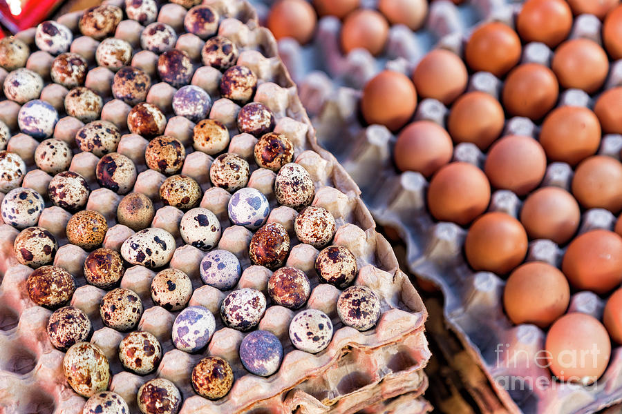 Eggs In Maumere Photograph By Danaan Andrew Fine Art America