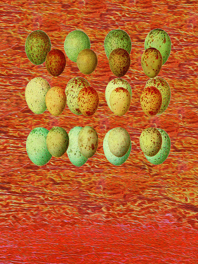 Eggs on Red Mixed Media by Lorena Cassady