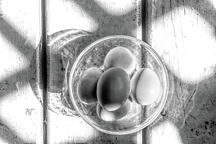 Eggs Photograph by Sharon Popek